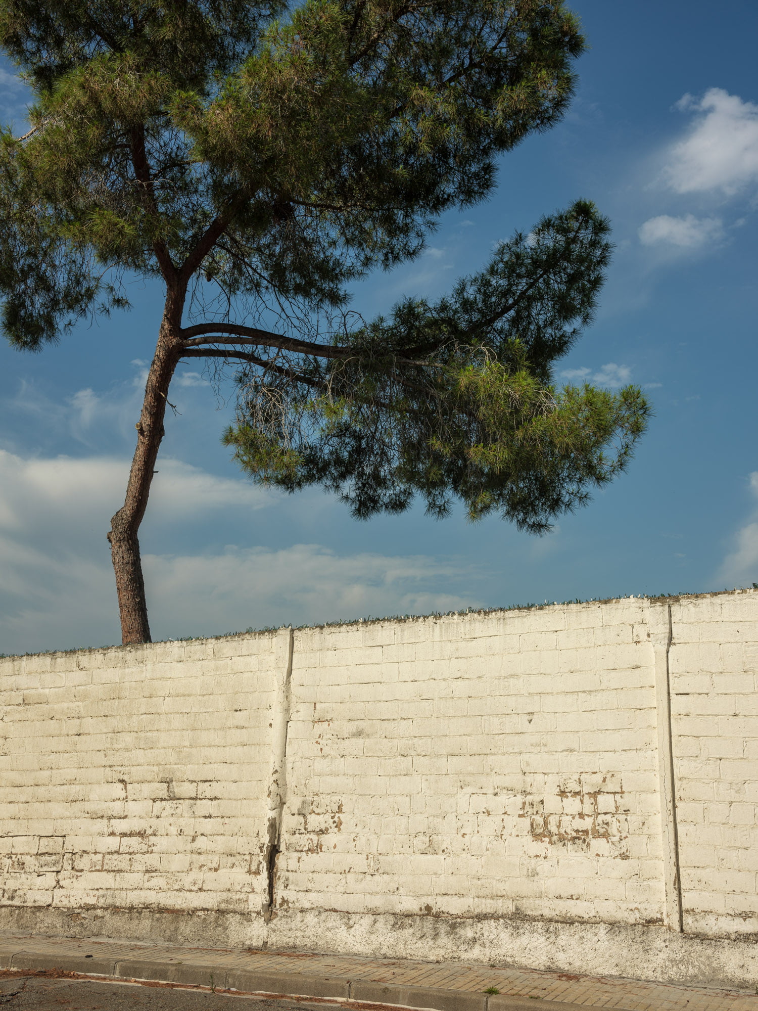 Les Fonts, Terrassa, 2023