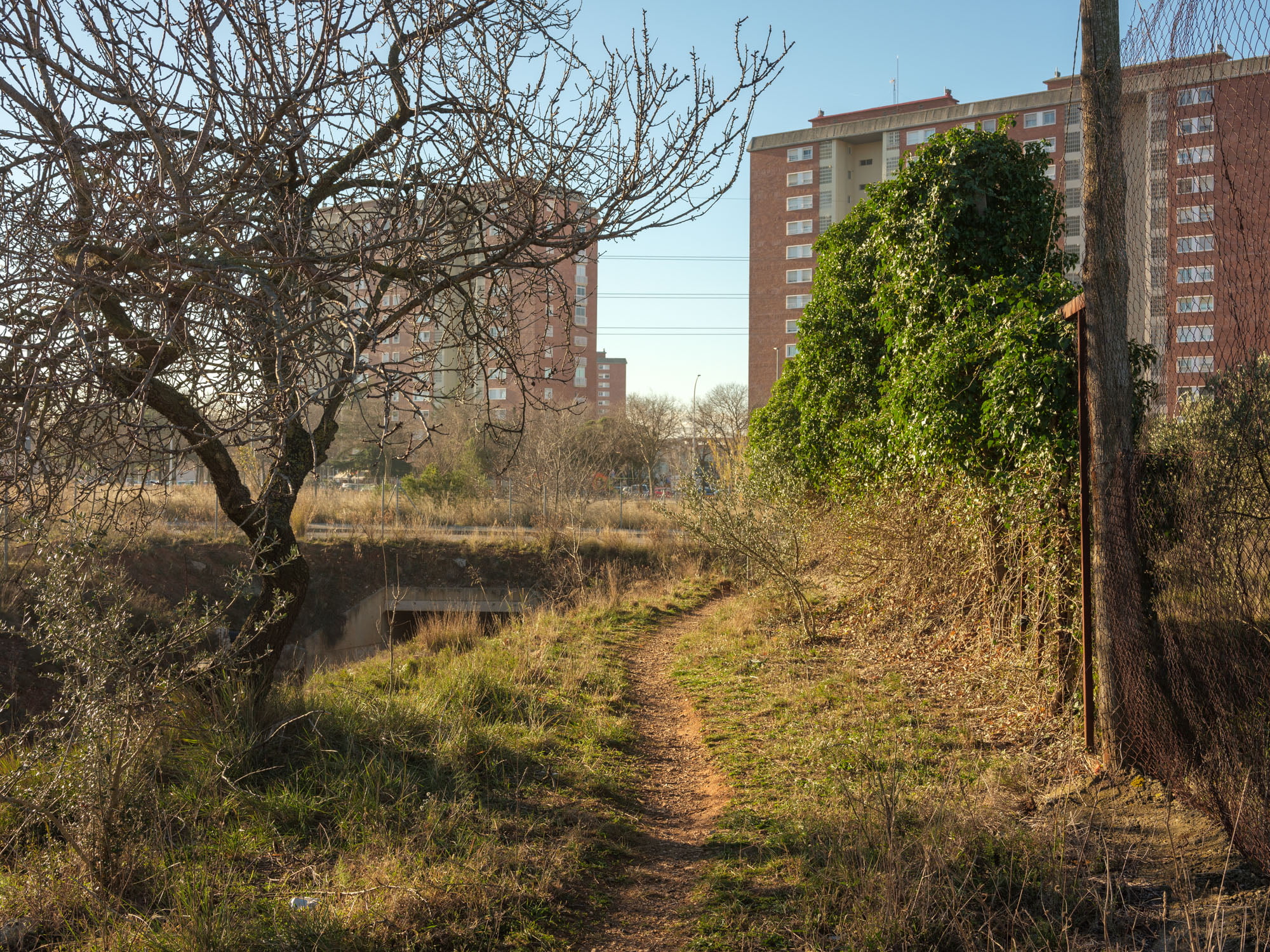 Pla del Bon Aire – El Garrot, Terrassa, 2023