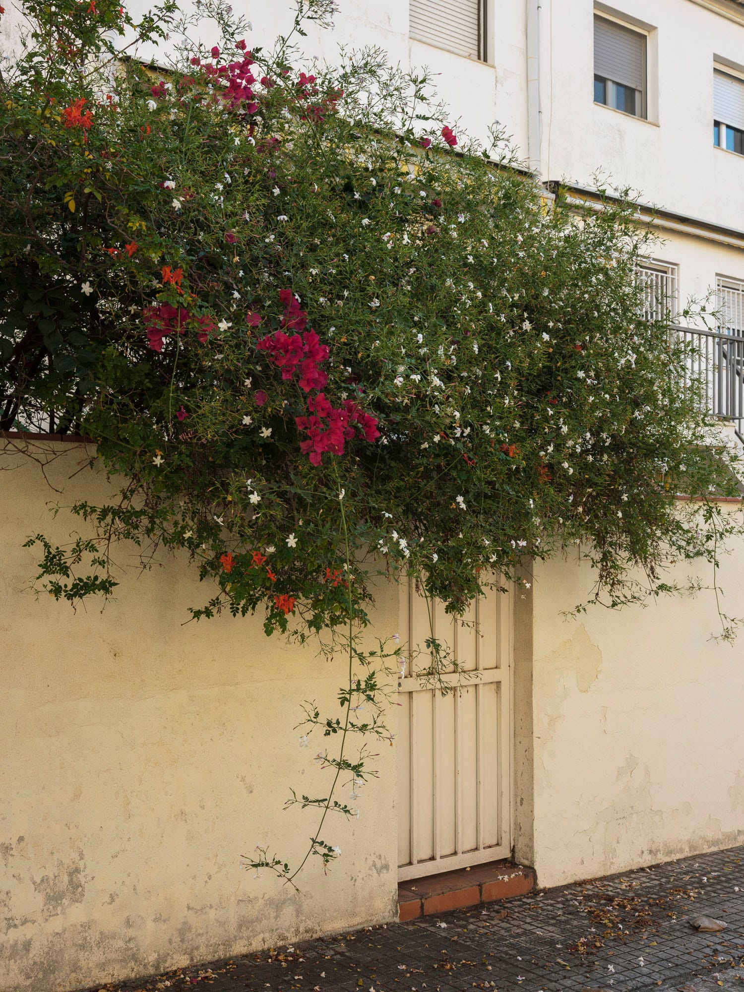 Ègara, Terrassa, 2025