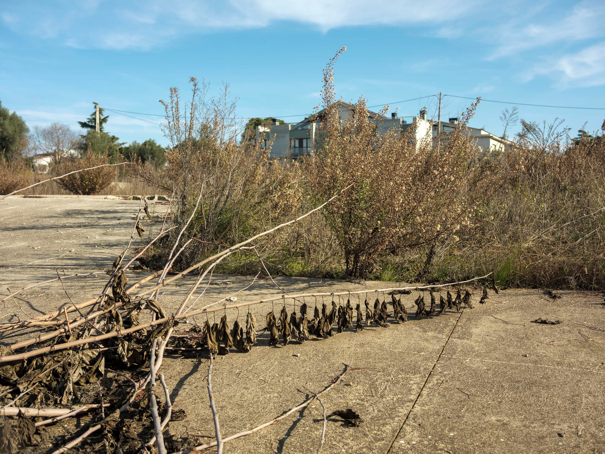 Pla del Bon Aire – El Garrot, Terrassa, 2026