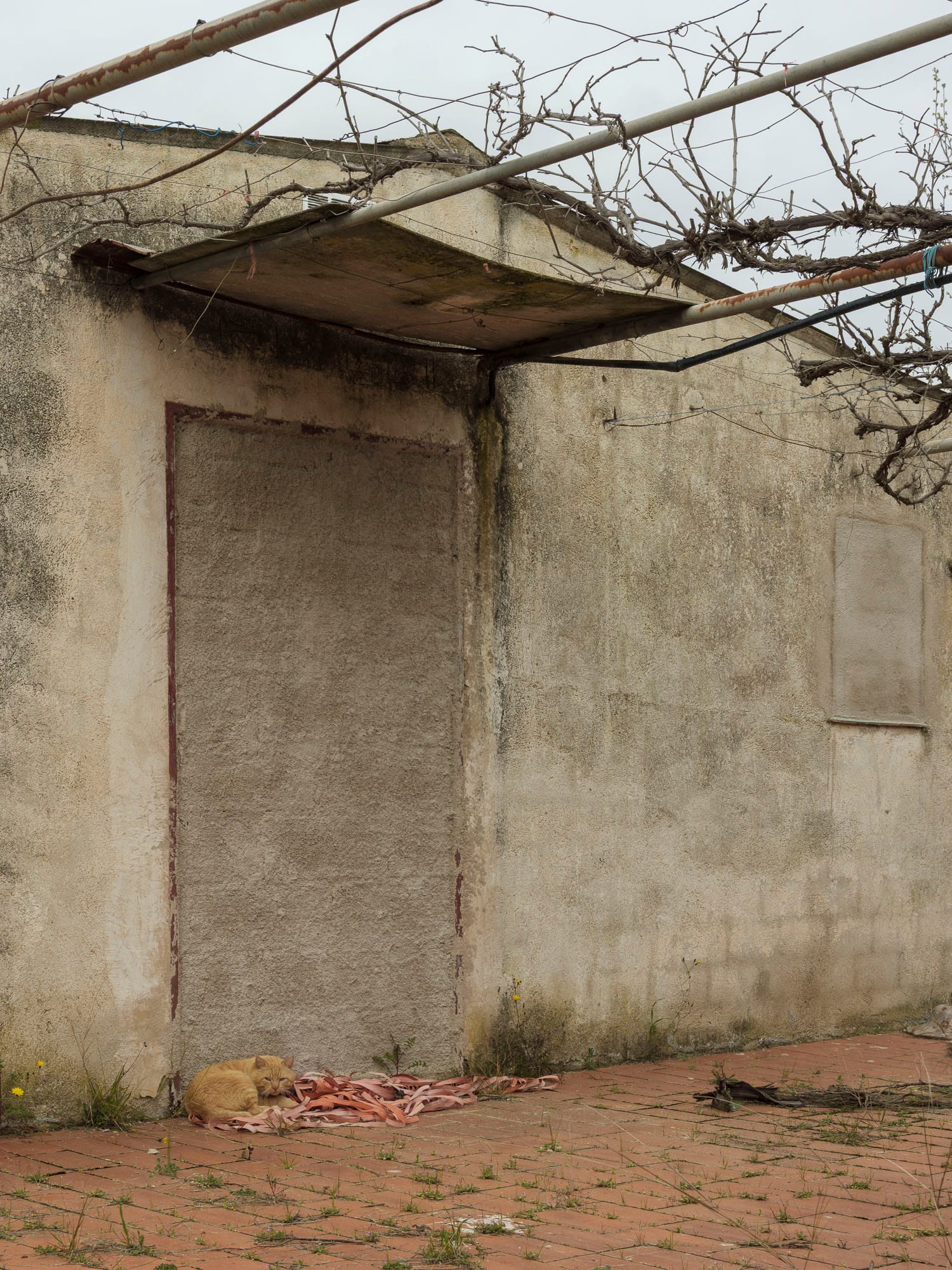 Can Gonteres, Terrassa, 2025