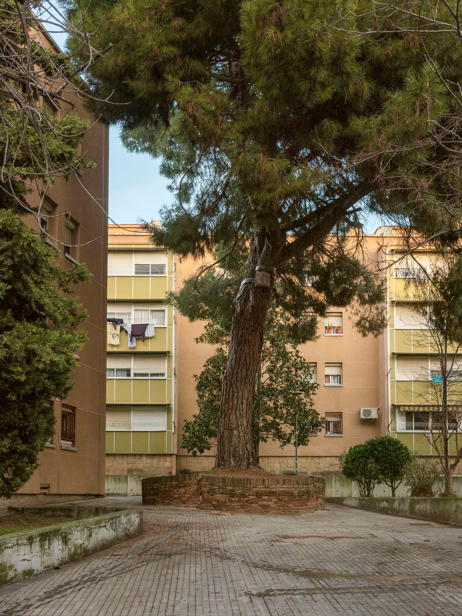 Sant Llorenç, Terrassa, 2026