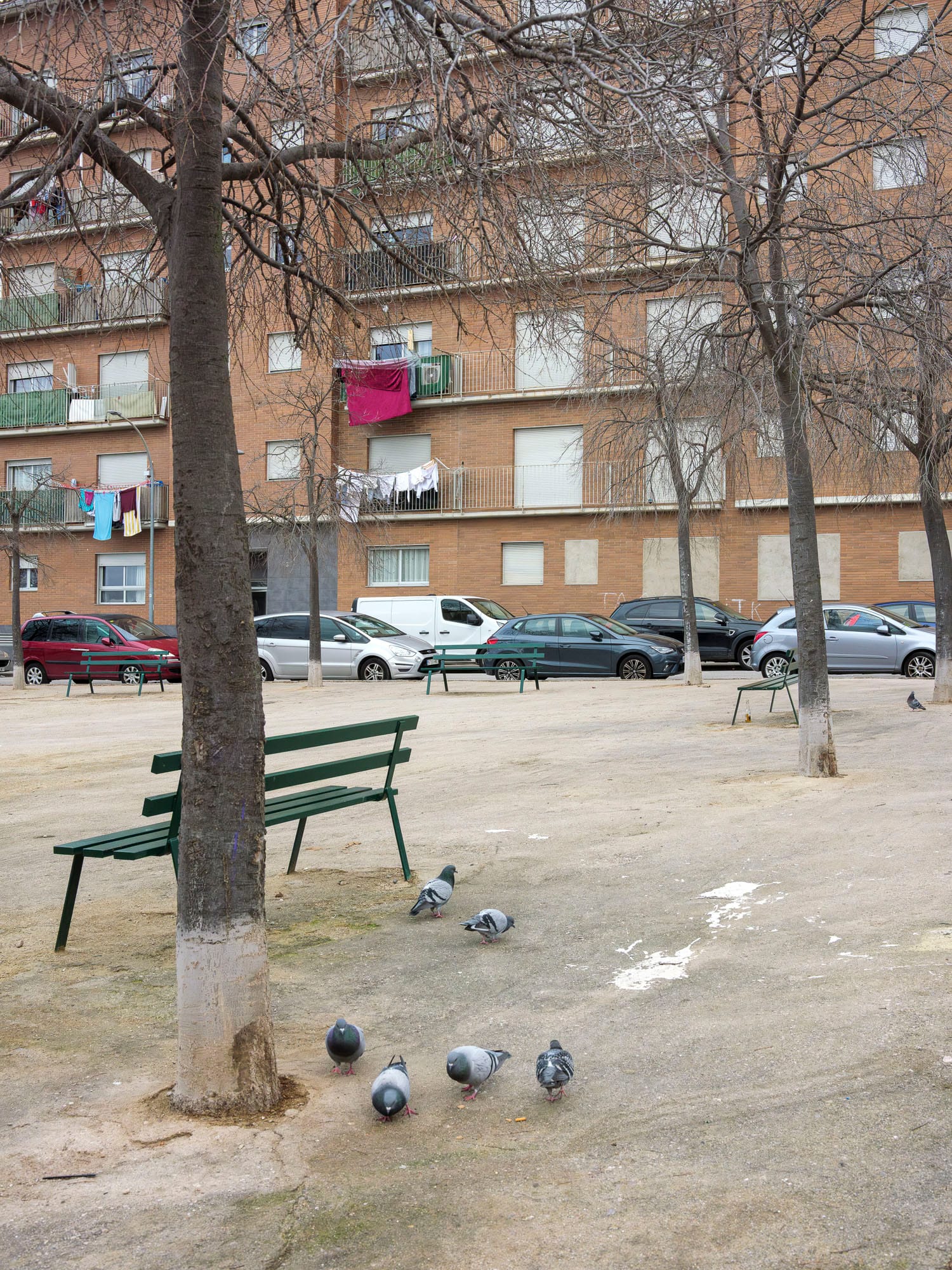 Les Arenes – La Grípia – Can Montllor, 2026