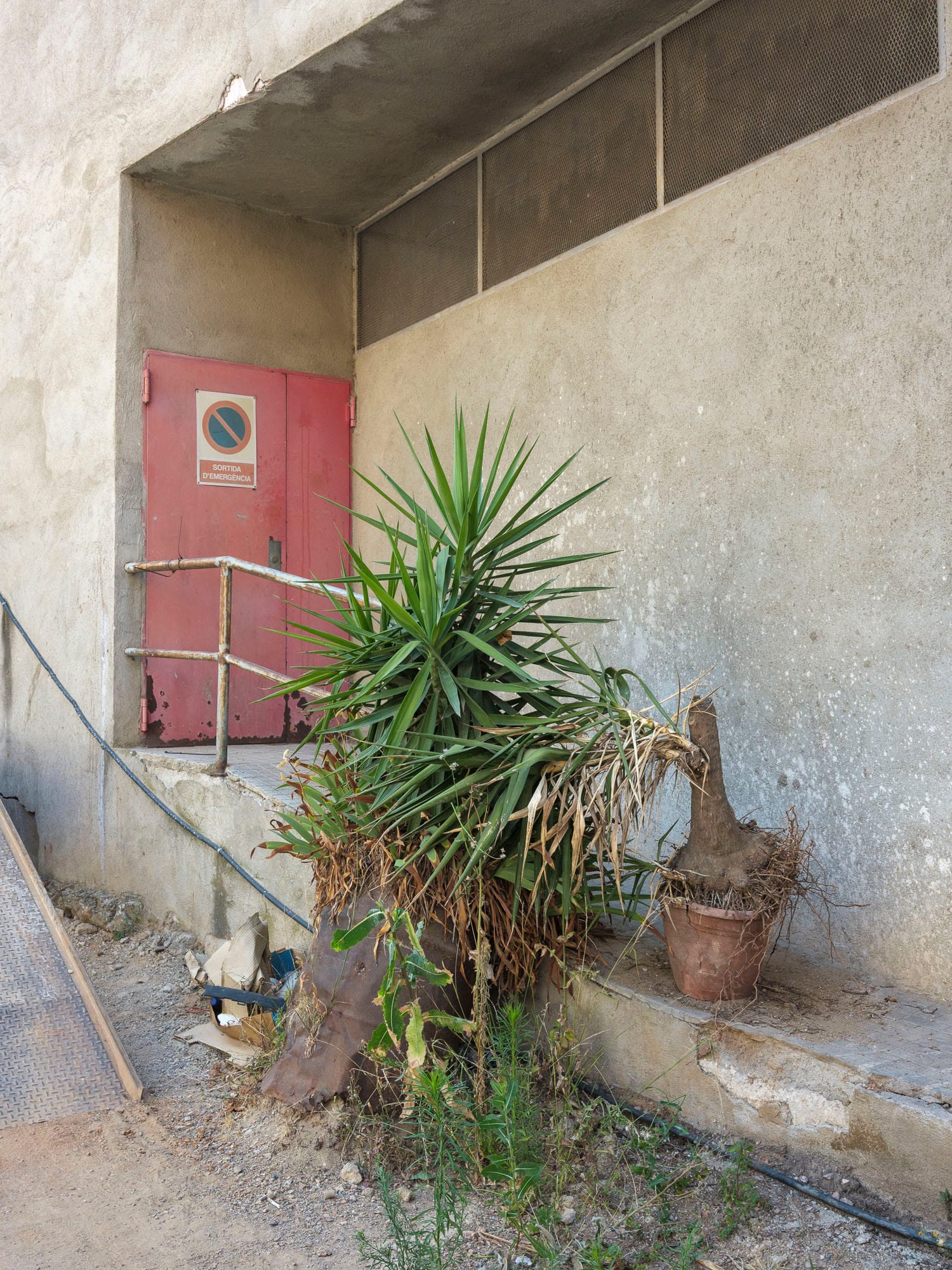 Vallparadís, Terrassa, 2026